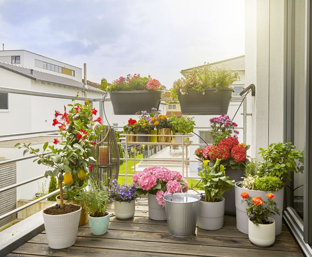 Automatisk vanding af altanblomsterne