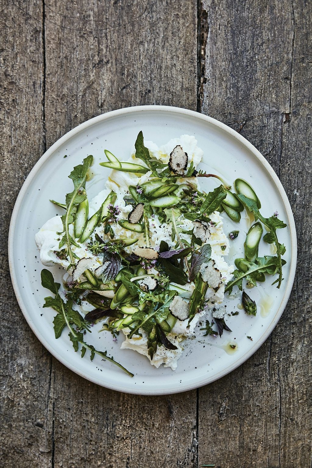 Burrata med sommertrøffel Burrata med sommertrøffel