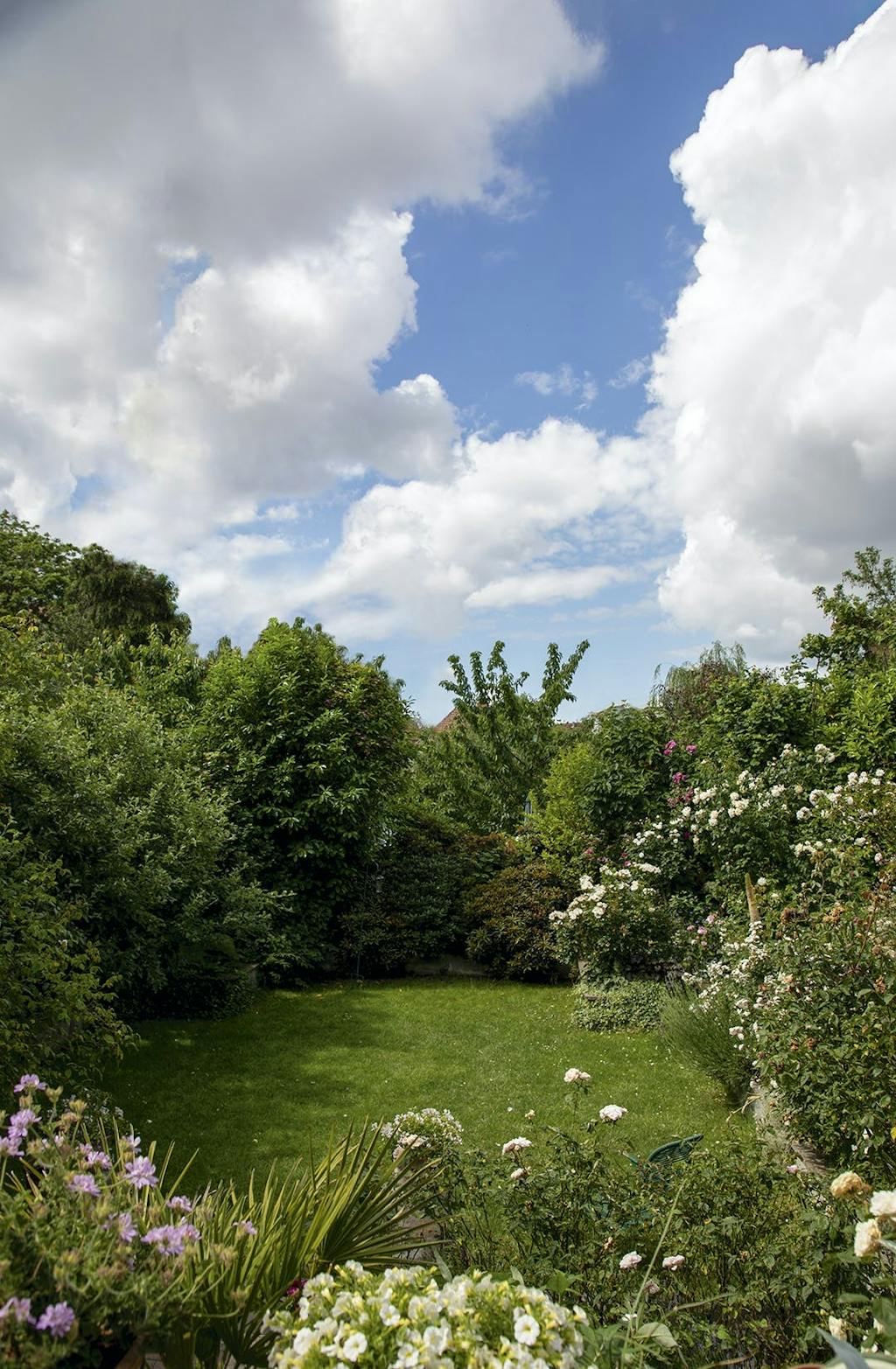Flot og blomstrende have midt i København