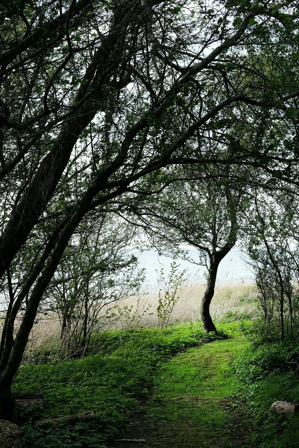Smuk natur Smuk natur