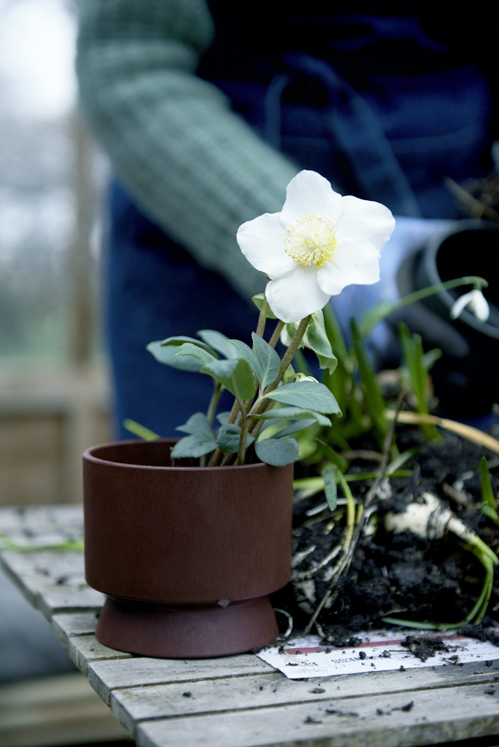 Reduce Flowerpot Signe Wenneberg for Rosendahl Reduce Flowerpot Signe Wenneberg for Rosendahl