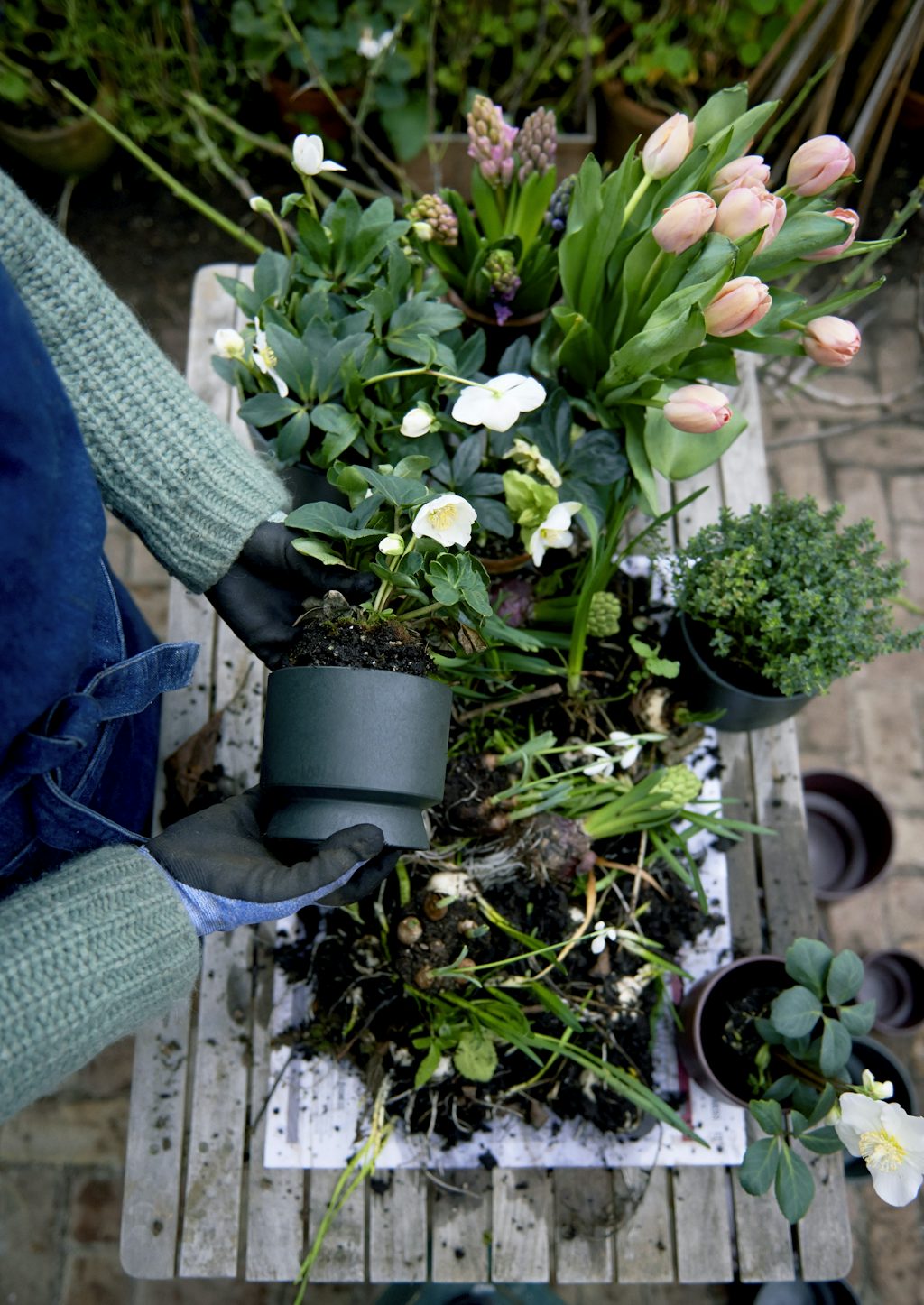 Reduce Flowerpot Signe Wenneberg for Rosendahl Reduce Flowerpot Signe Wenneberg for Rosendahl