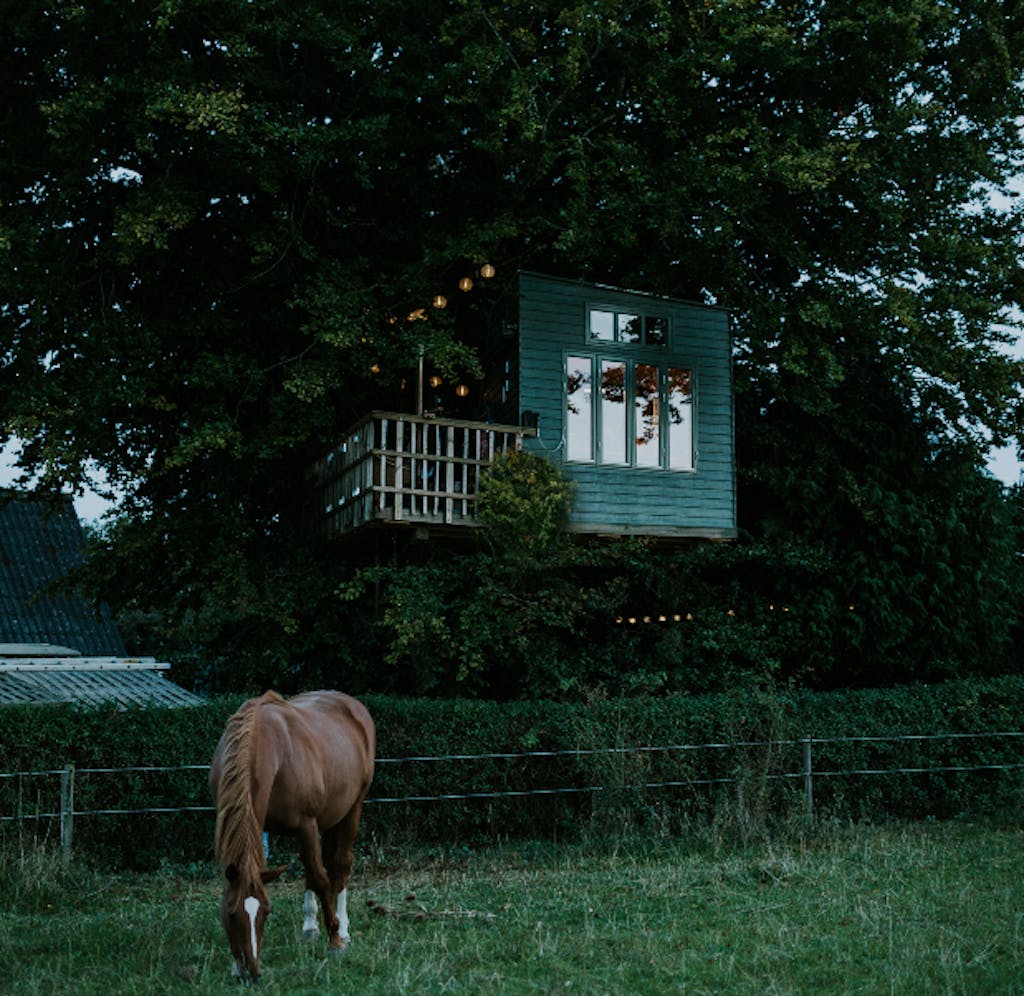 Den lille grønne træhytte