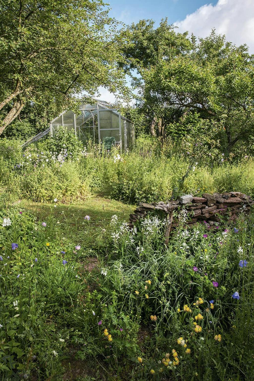 Naturnørdens vidunderlige eventyrhave