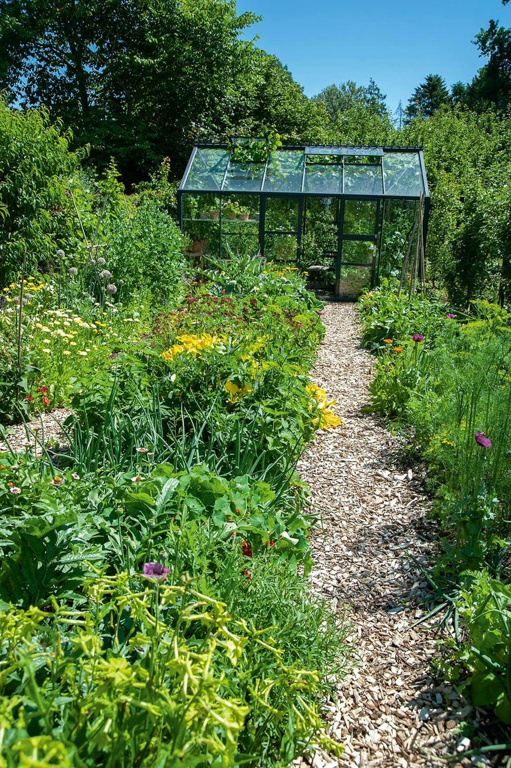 Grøn oase i det idylliske Troense