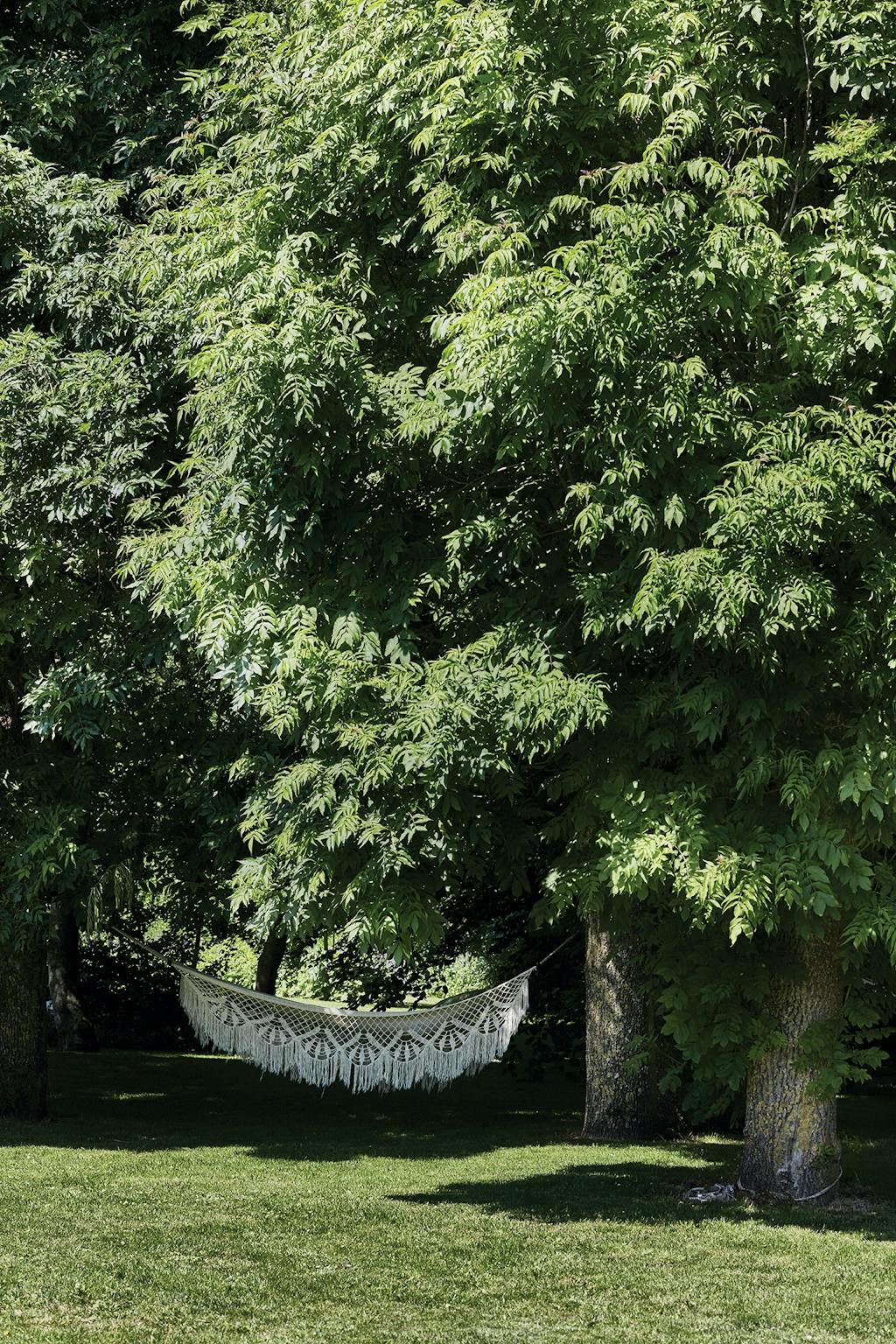 Ribe-Gl.-Avlsgård-Sansehave