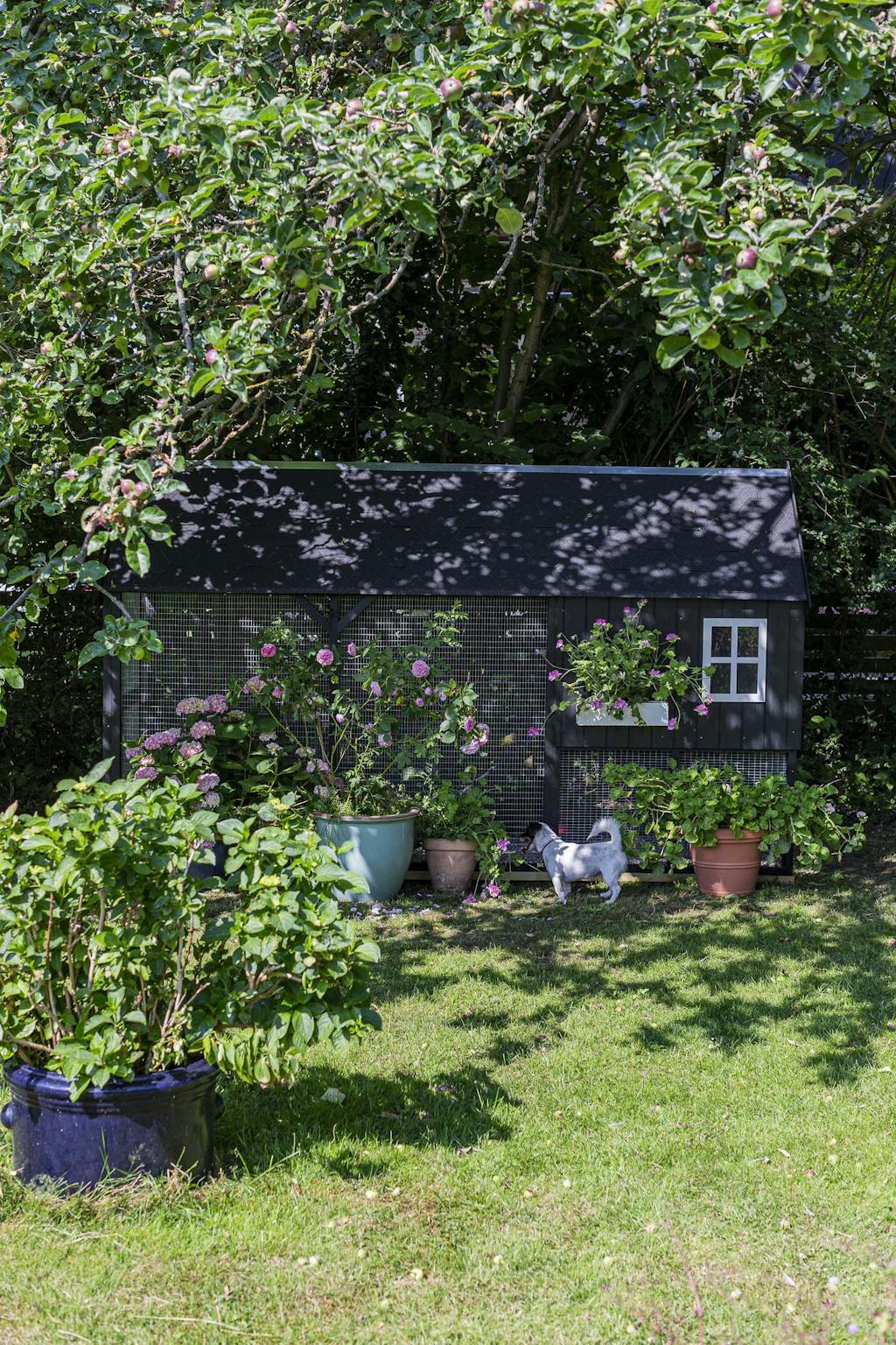 Rosenhaven Rosenhaven