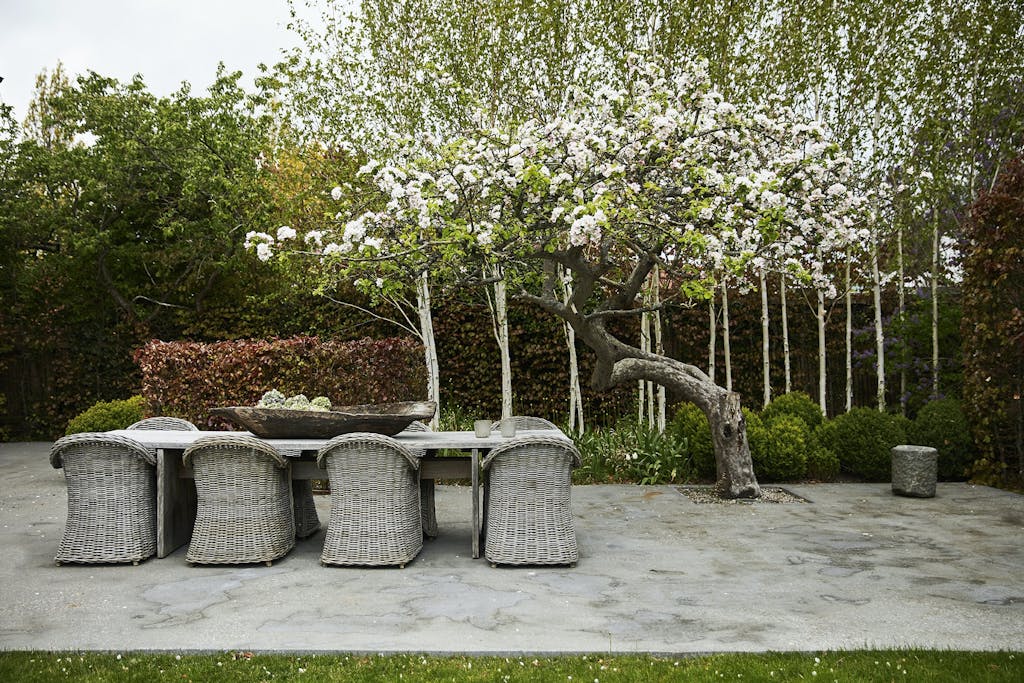 Terrasse med udgang fra biblioteket Terrasse med udgang fra biblioteket