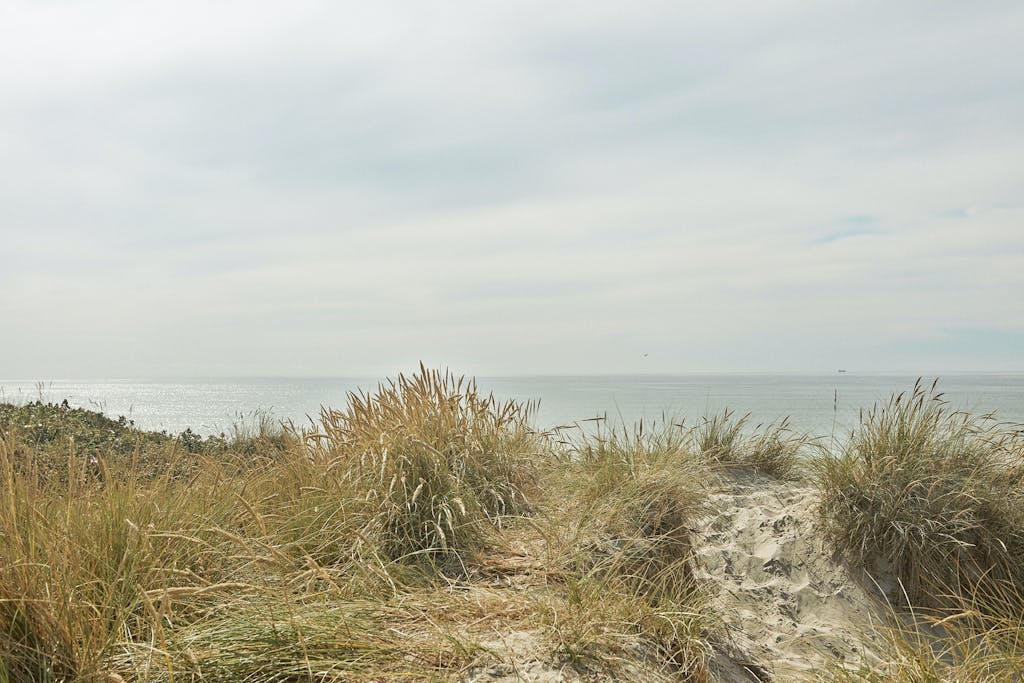 Adgang til vandet fra huset