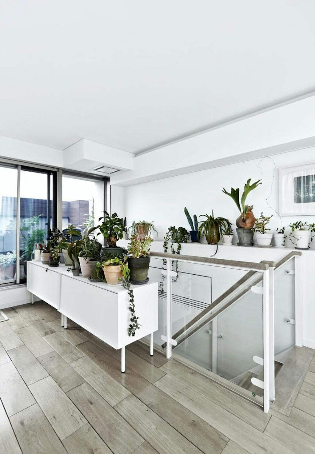 Minimalistisk hjem indrettet med planter