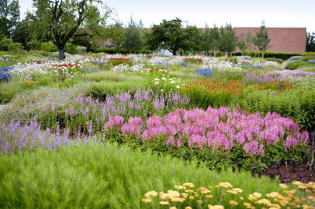 Den fargerike og blomstrende hagen