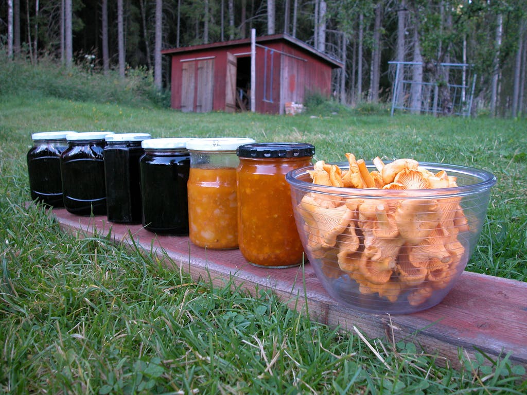 Konserveret mad fra Sverige.