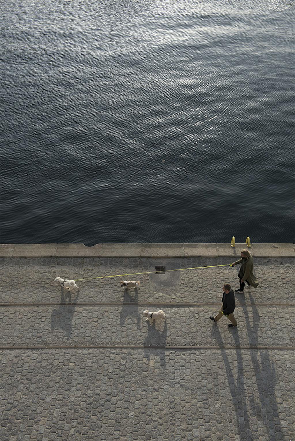 Udsigt over havnefronten fra tagterrassen