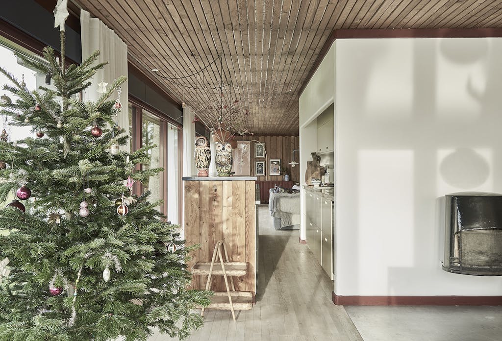 Middelboehus med stort juletræ