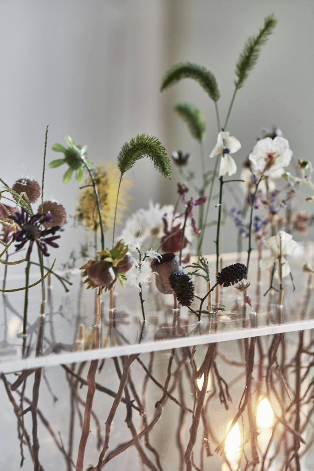 Blomster i transparent ramme af plexiglas