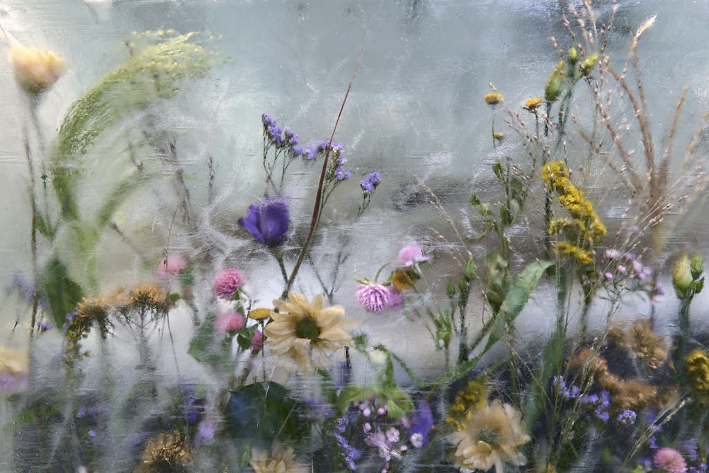 Carl Philip Bernadotte & Oscar Kylberg suite