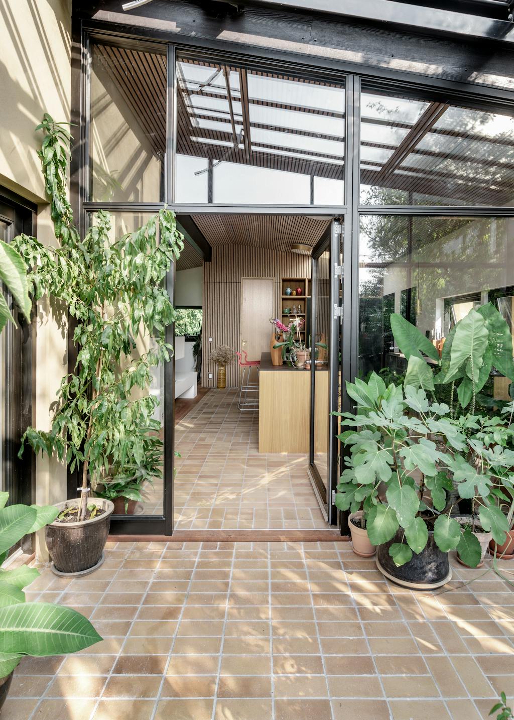 kamerkas moderne planten