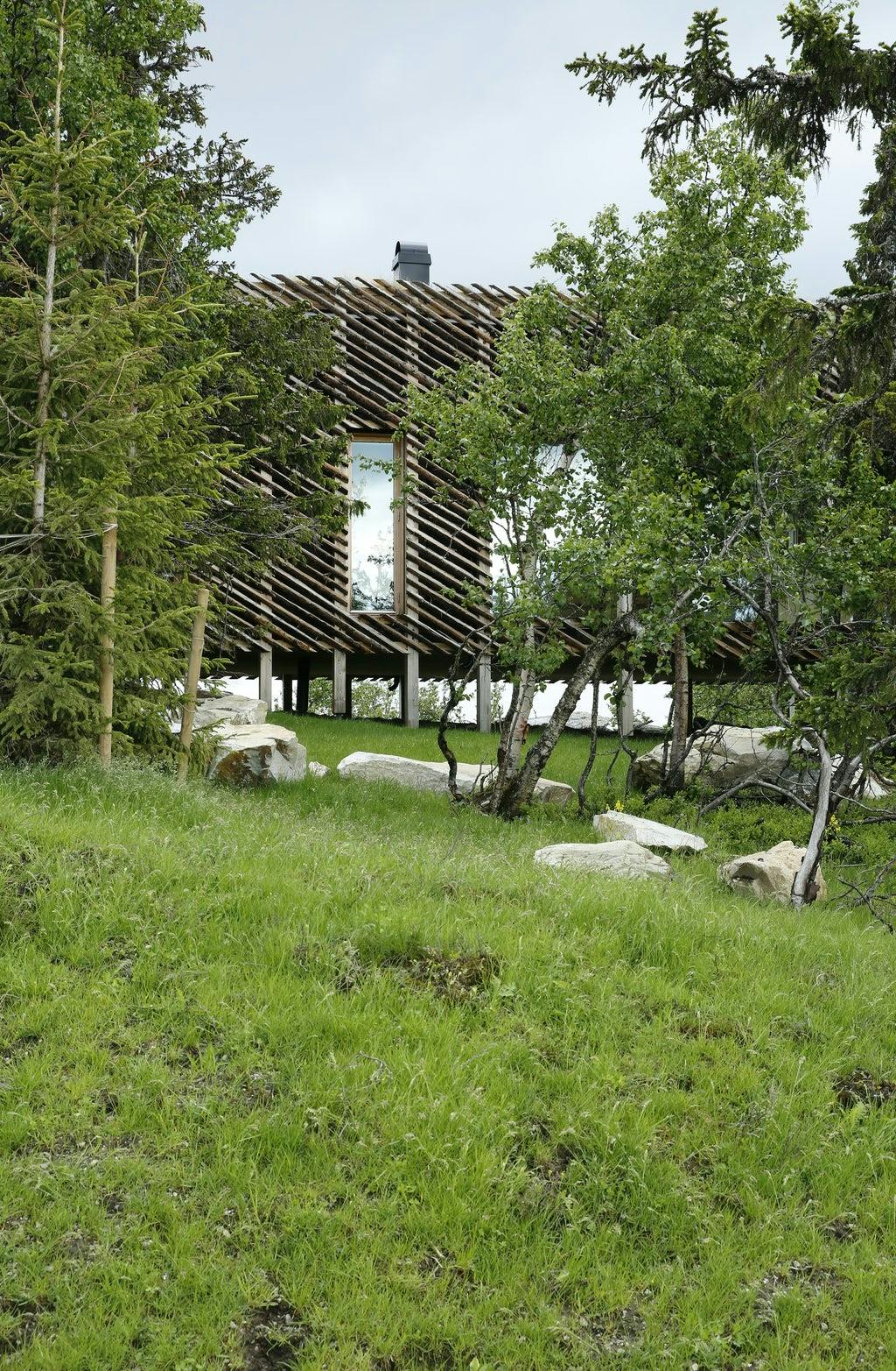 houten huisje in het bos