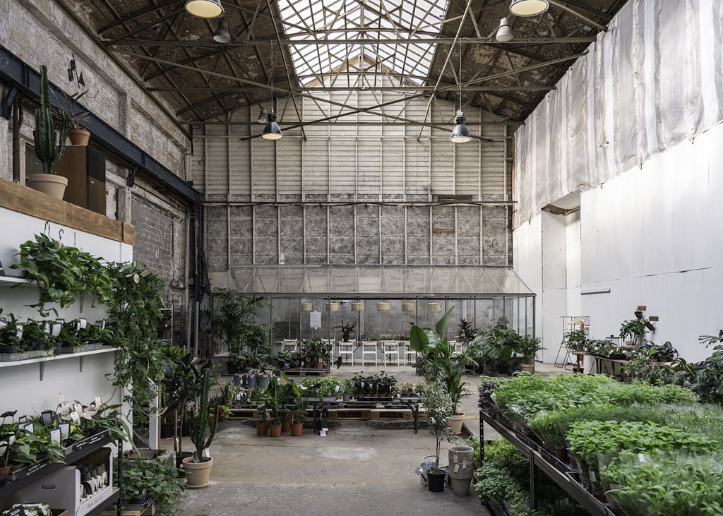 Det populære plantemekka i København