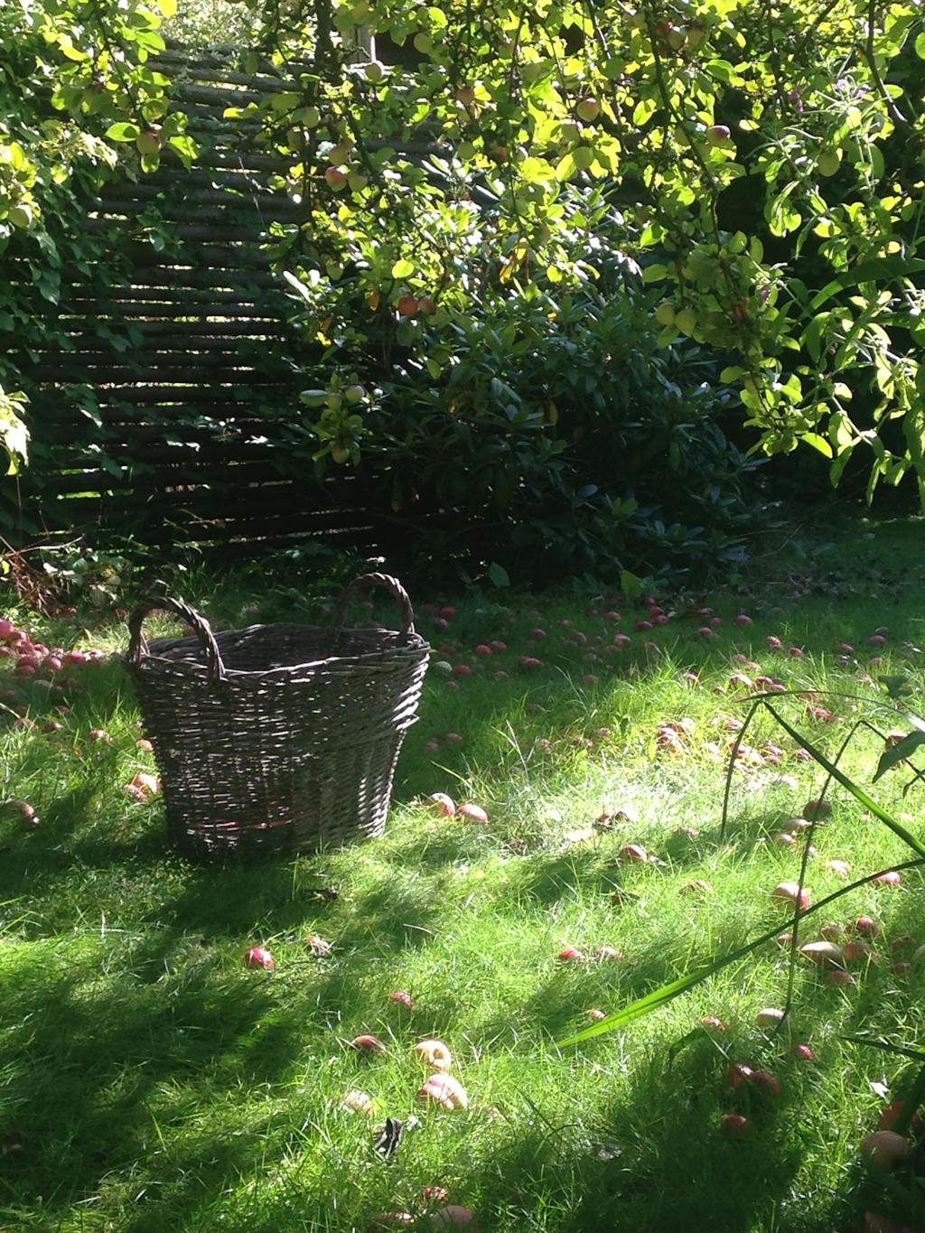 Sådan kommer du af med mos i haven