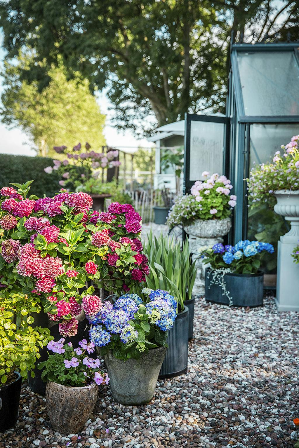 Blomsterkrukker og opsatser