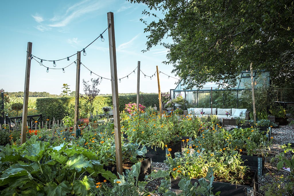 Kjøkkenhage med pallerammer