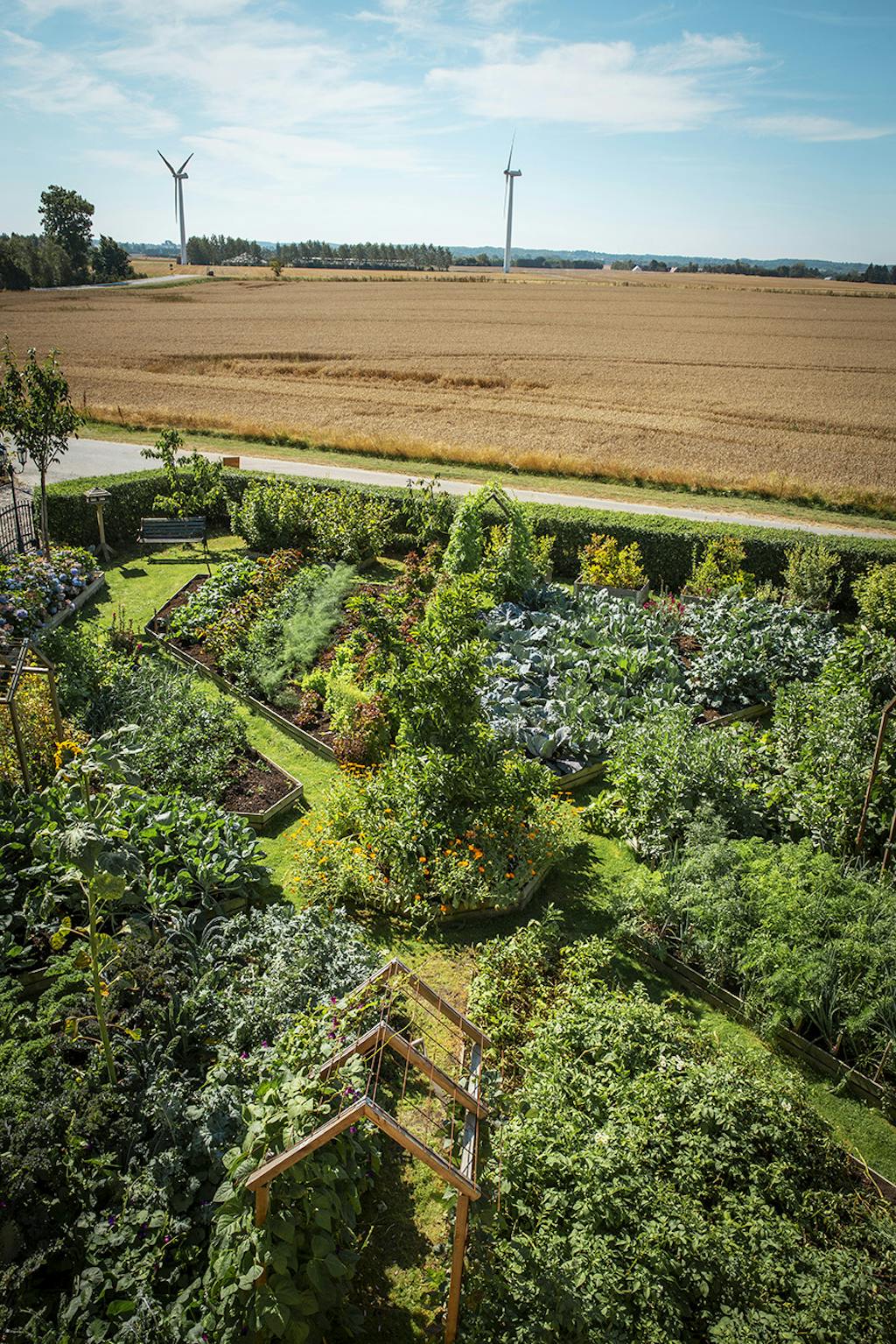 Udsigt til køkkenhave