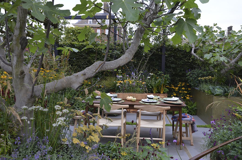 Lille have med mange planter