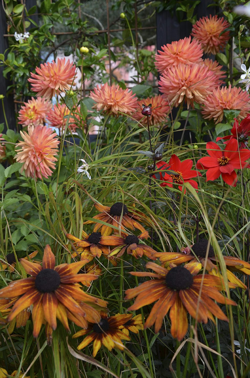 Have med blomster i varme farver Have med blomster i varme farver