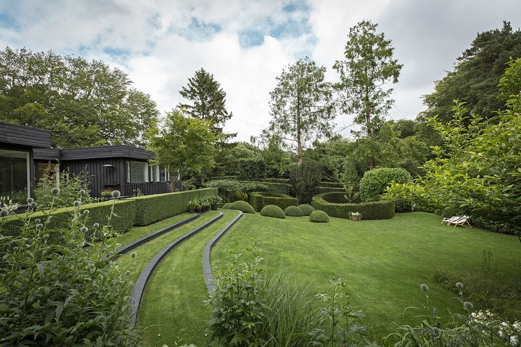 Grøn have med skarpe hække