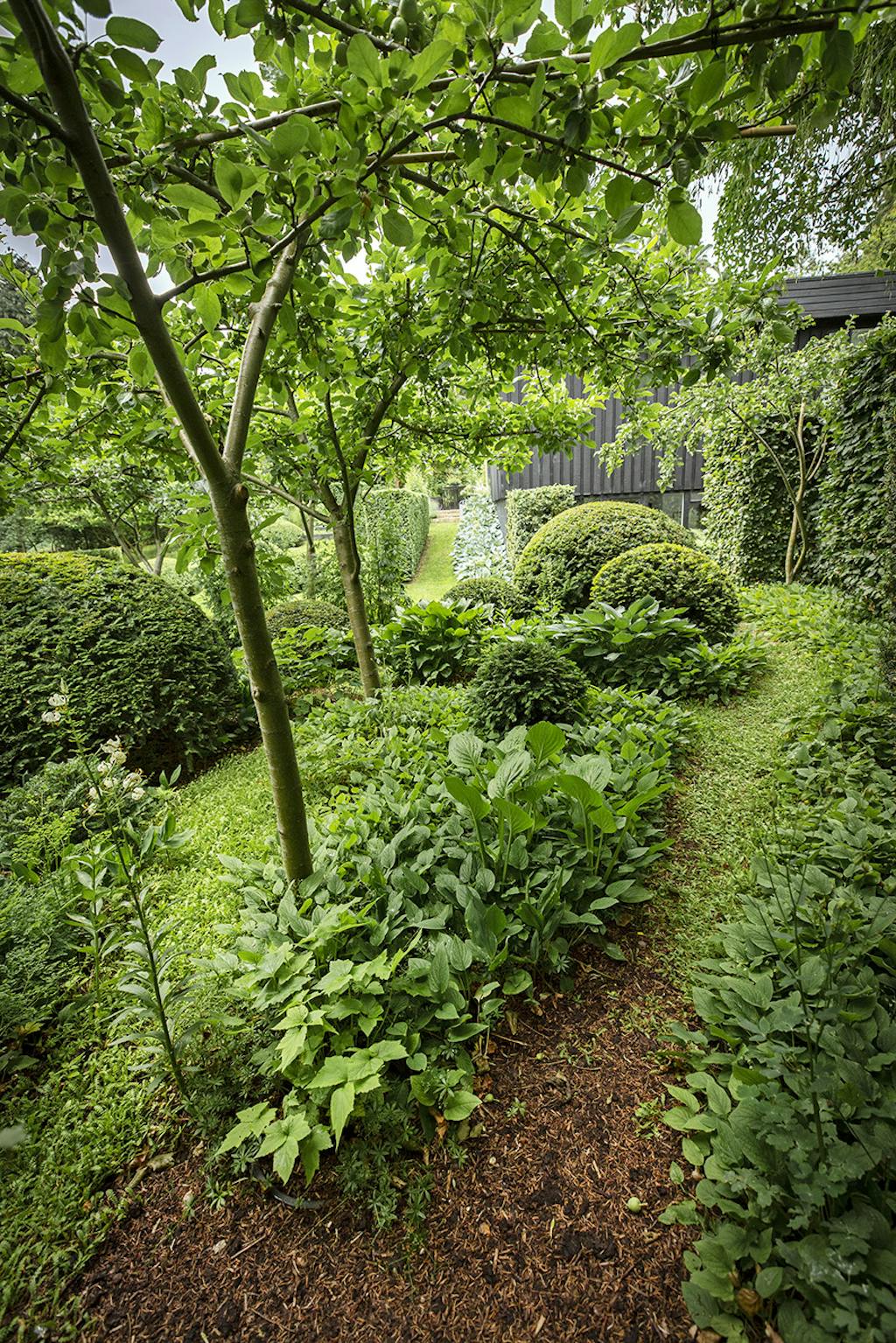 Frugtlund i stor have