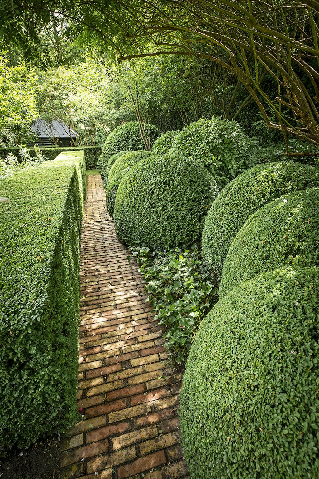 Have med runde og rektangulære planter