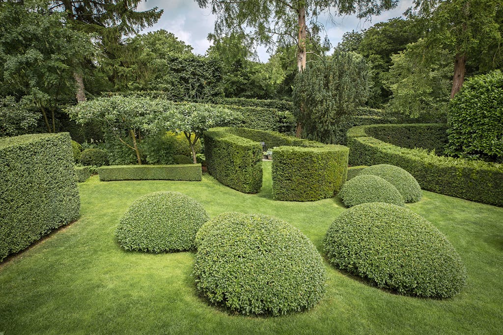 Grønt have med buske