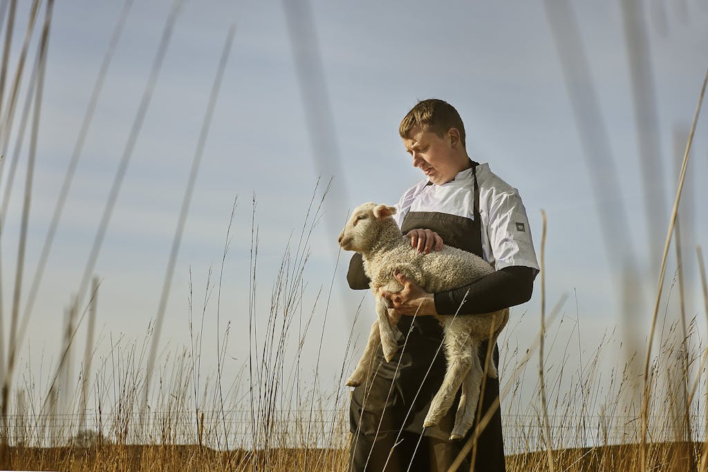 Restaurant Mark Restaurant Mark