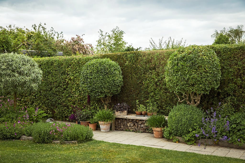 Hyggeplads i have med bænk Hyggeplads i have med bænk