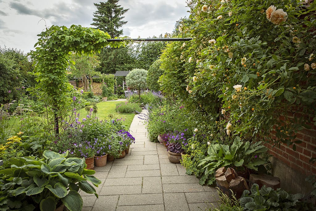 Lille have med mange planter Lille have med mange planter