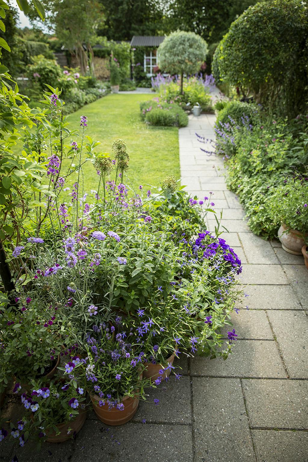 Udsigt fra opholdsterrassen Udsigt fra opholdsterrassen