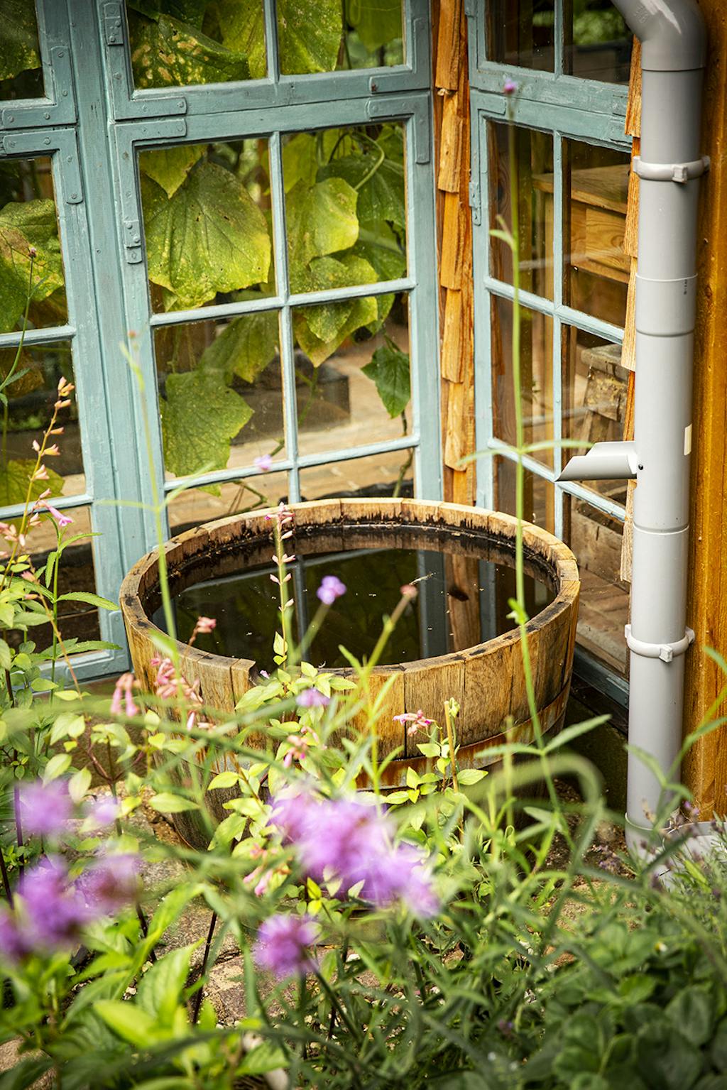 Bæredygtighed: Udnyt regnvandet