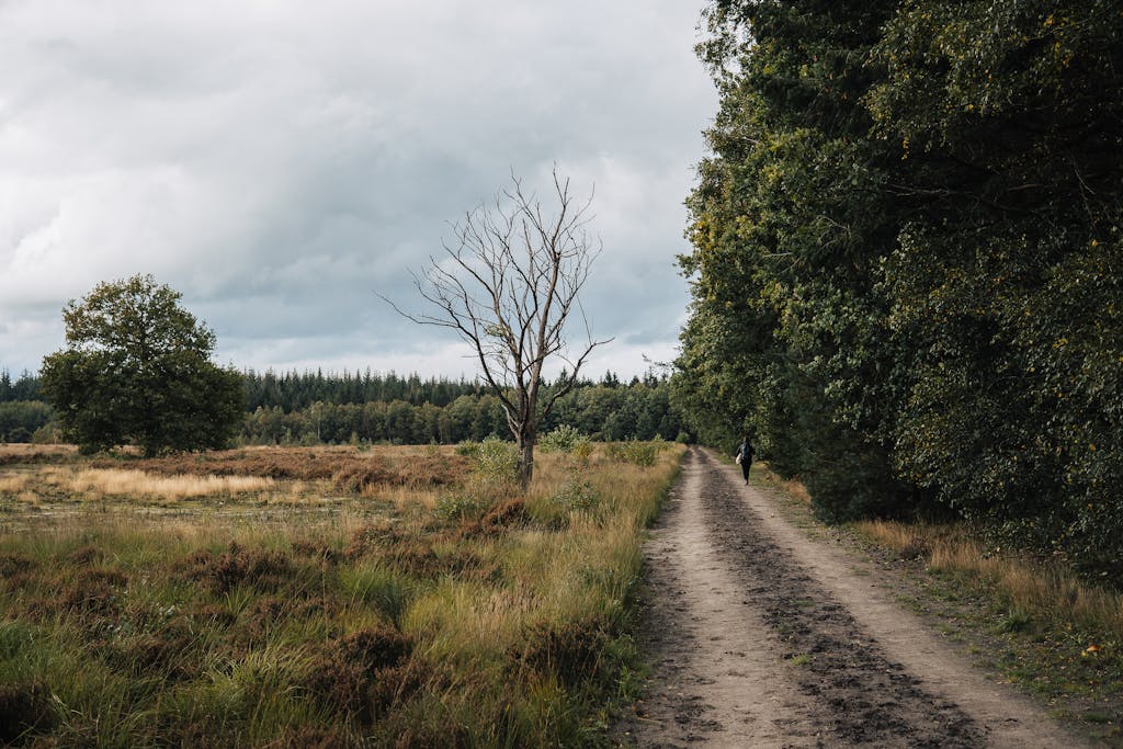 Vakantiehuis Drenthe
