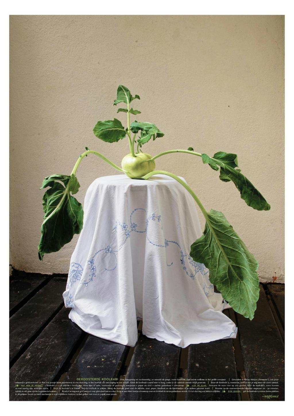 groenteportretten fine art koolrabi recept