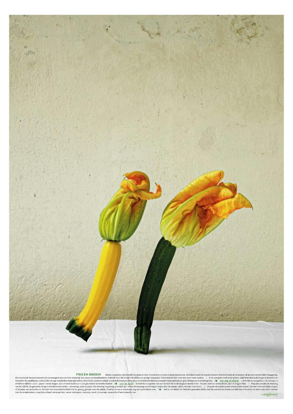 groenteportretten fine art courgettes recept