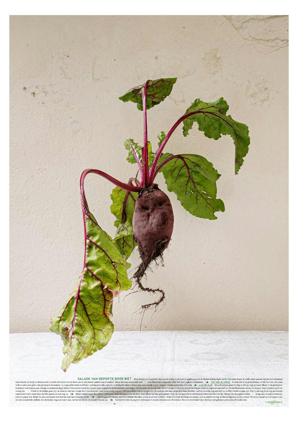groenteportretten fine art rode biet recept