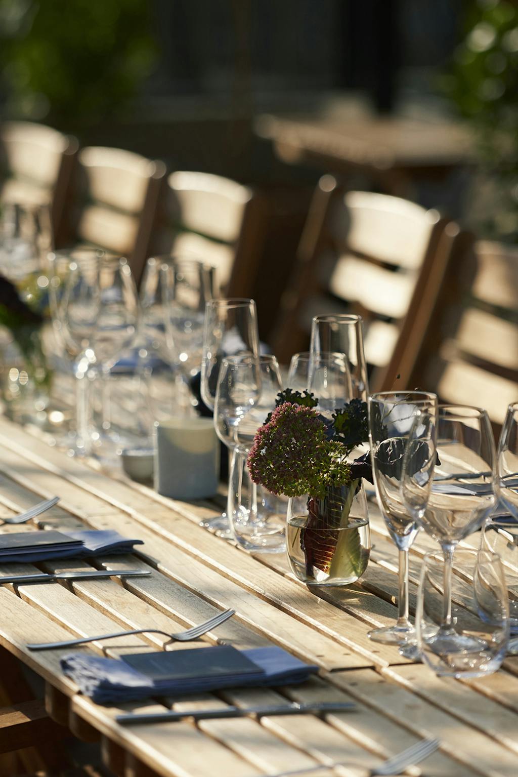 Rabarbargaarden-Kamilla-bryndum Rabarbargaarden-Kamilla-bryndum