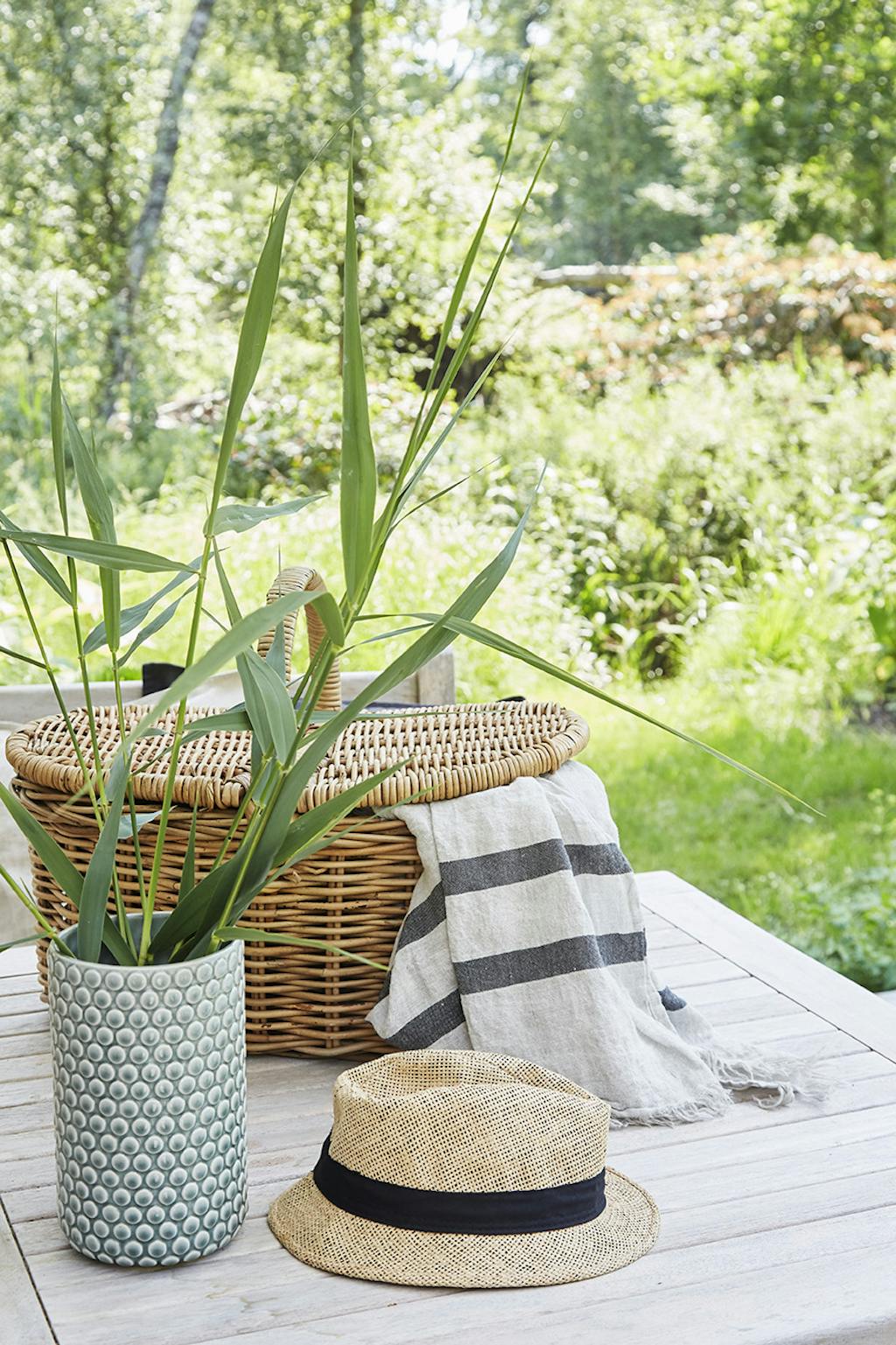 Asserbo plantasje sommerhus