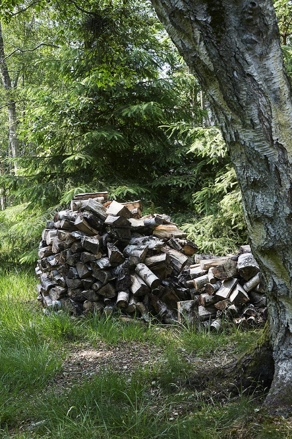 Asserbo plantasje sommerhus