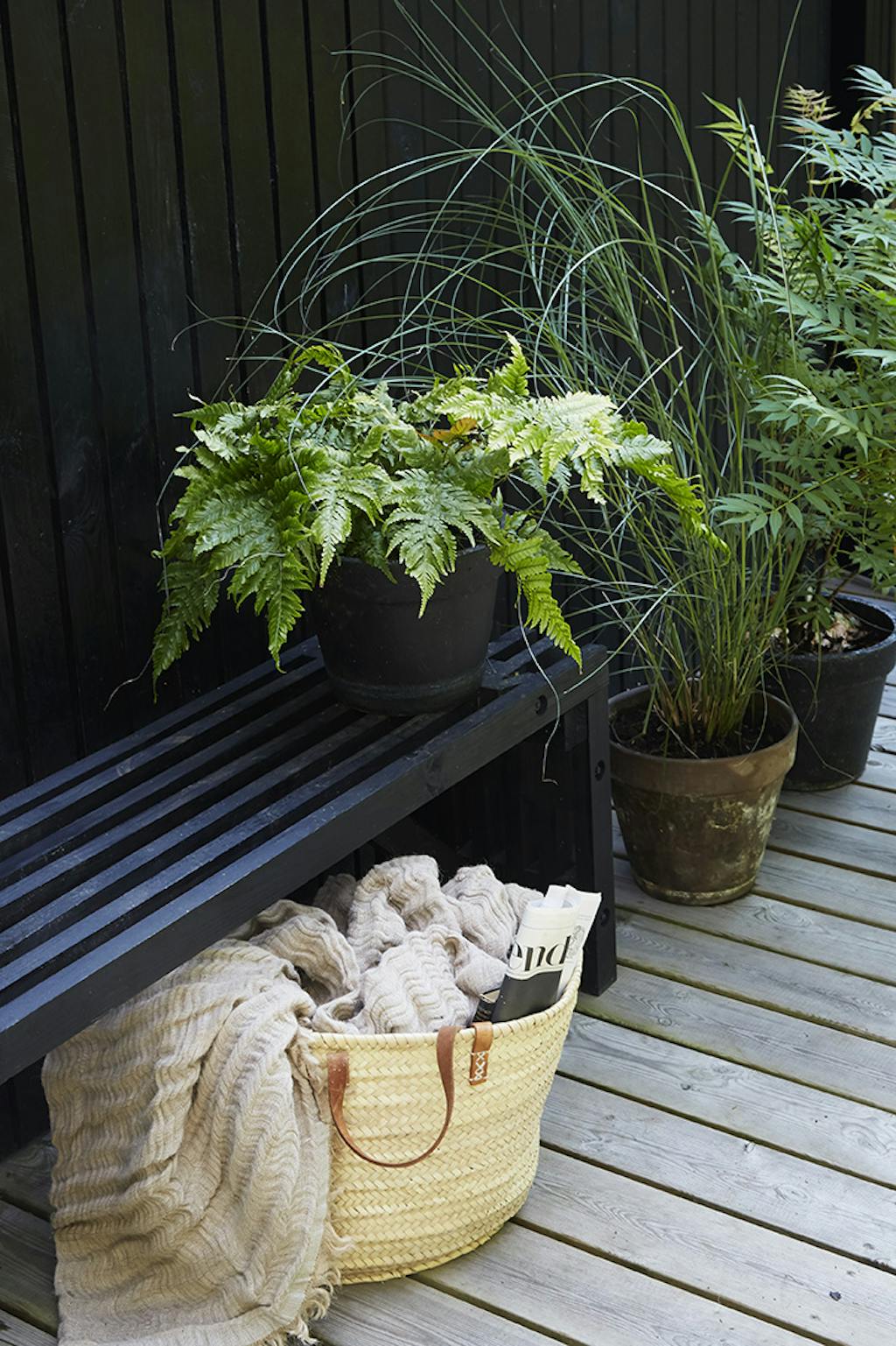 Asserbo plantasje somemrhus