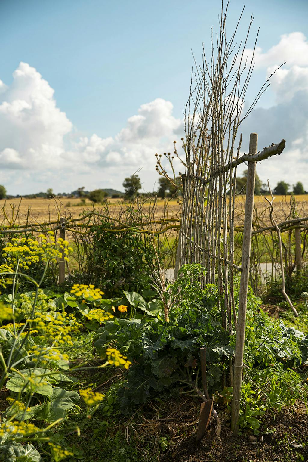 hannus have på langeland