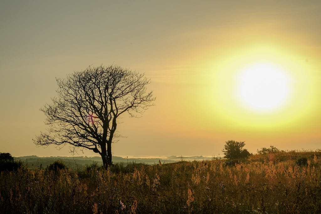 Solnedgang Solnedgang