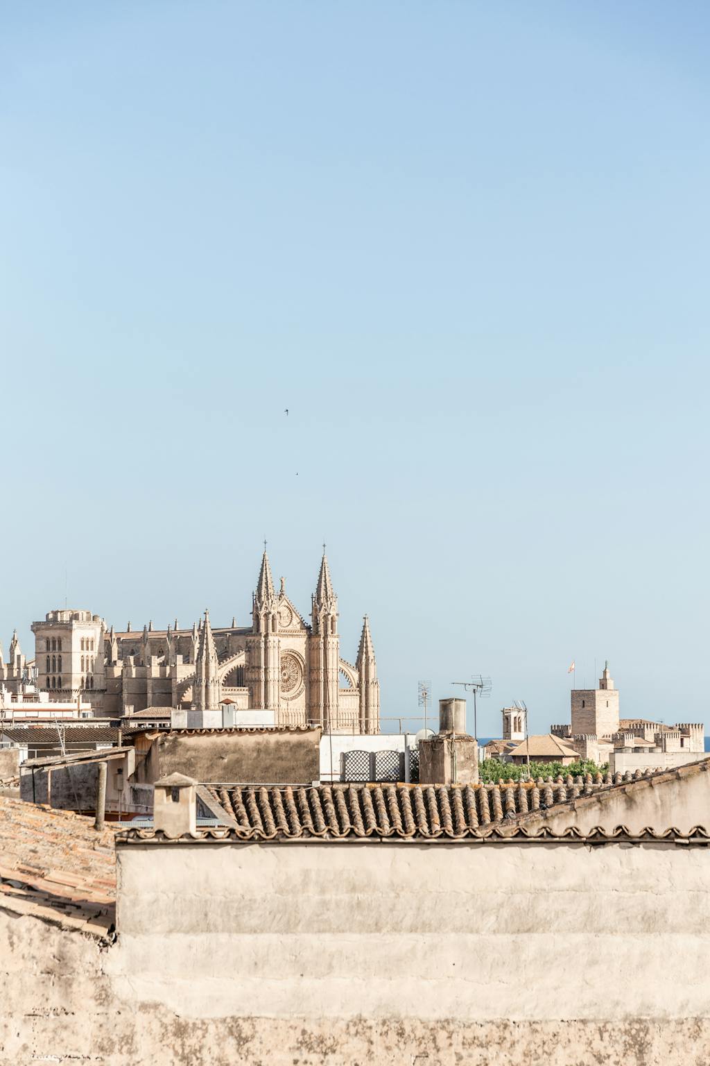 design hotel Mallorca