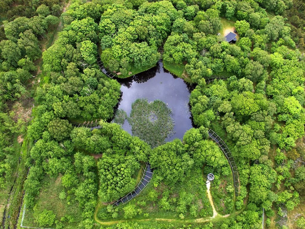 Sønderho Gamle Fuglekøje